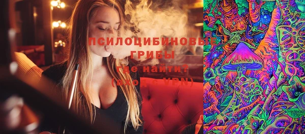Альфа ПВП Ельня