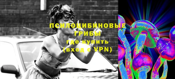синтетический гашиш Елизово